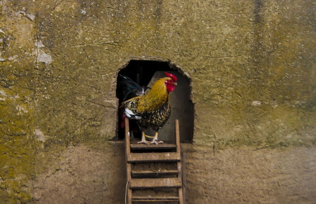 Agriturismo Sa Tanca - Photo 12