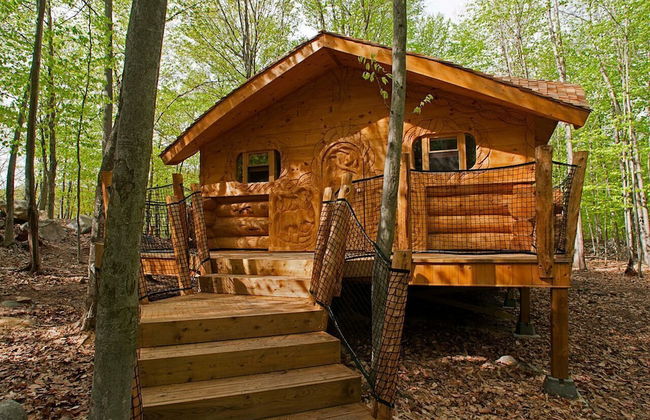 Parc Omega - Foto 71