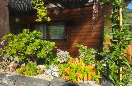 Quinta da Valdigueira - Foto 10