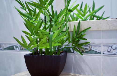 APARTAMENTO PLAYA ALCARAVANERAS - Foto 17