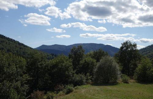 Appartement cosy à Bussang - Foto 11