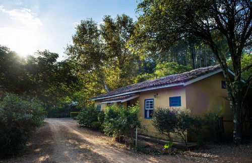 Fazenda Santa Thereza - Itapira - Foto 62