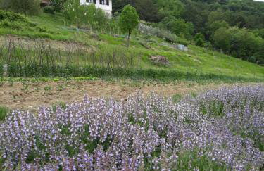 Apartment Finderli - Photo 34