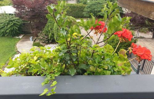 Mansarda con terrazzo e giardino Altopiano di Piné - Foto 6