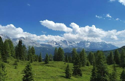 Residence Solaria Albarè Marilleva 1400 - Foto 18