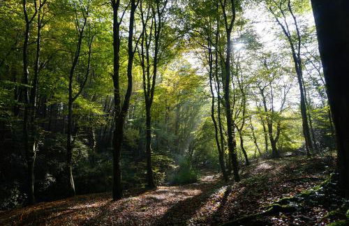 Landhof Luna - Foto 21