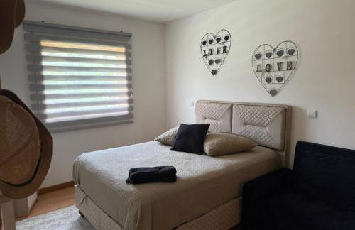 Quinta dos Sonhos - Foto 22