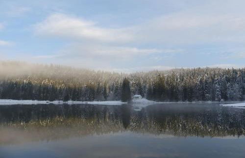 Studio avec belle vue proche du lac Genin Echallon - Photo 18