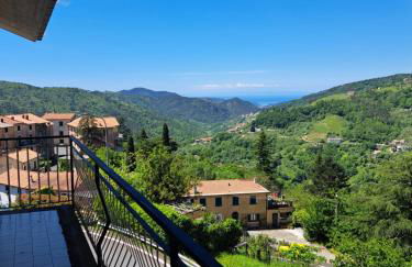 La casa in collina - Foto 5