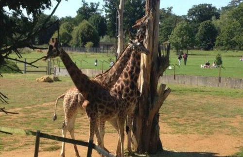 Spacious Cotswolds Barn - 4 Bedrooms, Perfect for Families - Foto 26