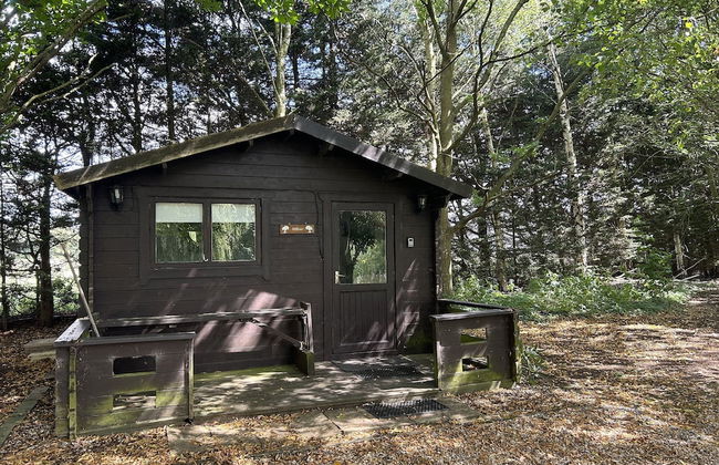 Willow by Paymán Club - Photo 7