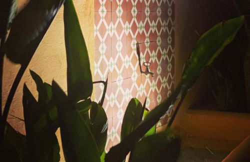 Monte Capitão Country house - Foto 43