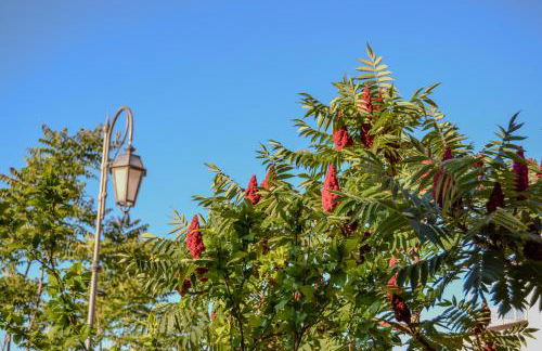 Castello Baronale - Foto 20