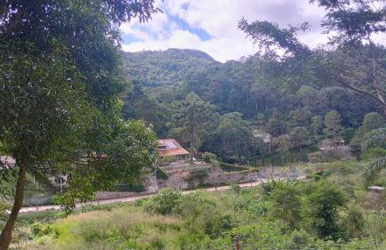 Casa em Teresópolis vista para a Pedra Tartaruga - Photo 50
