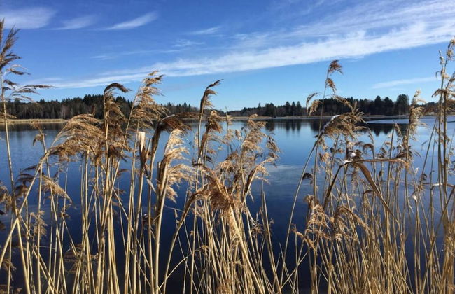 Appealing Apartment in Bad Bayersoien With Balcony - Foto 63