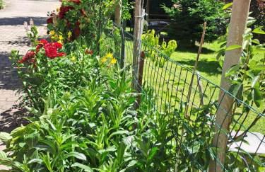 Casa Alby - Photo 32