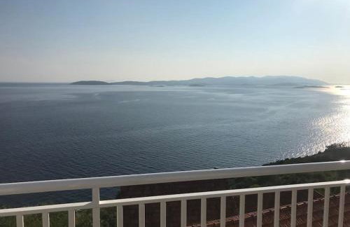 Captain Branko - Foto 24