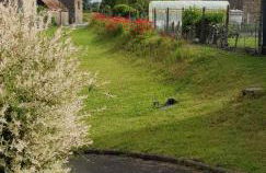 Les 3 mômes - Foto 15