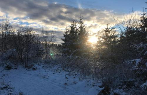 Haus Bornstein - Foto 23