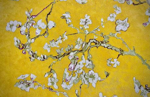 Agriturismo CasaViVa - Photo 64