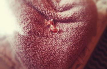 Edelstein Ferienwohnung Philippsreut - Foto 7