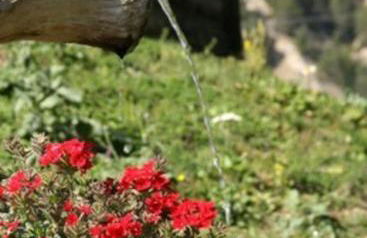 Le Sorè Hameau des Chazals Nevache Hautes Alpes - Photo 21