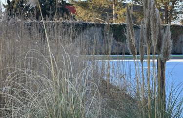 Ferienhaus Biotop - Badeteich, Sauna, Kinoleinwand - Foto 37