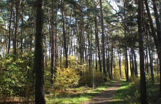 Heide-Camp Colbitz - Foto 13