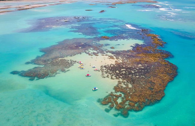 Paseo en barco por las piscinas naturales de Maragogi - Foto 5