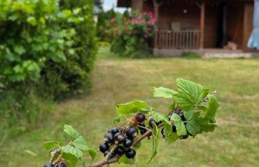 Domek w Krzewinie - Foto 21