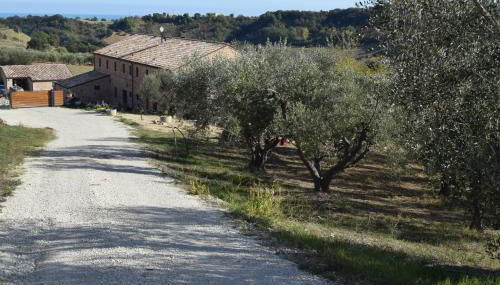 Monna Terra B&B - Foto 3, Garden, Garden view