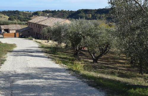 Monna Terra B&B - Foto 3