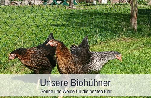 Ferienwohnung im Sauerland Hunde willkommen Kamin und Garten am Waldrand Muehls-Sauerland - Foto 7