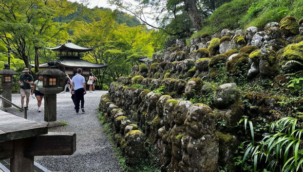 Tour por el bosque de bambú y los templos de Arashiyama - Foto 2