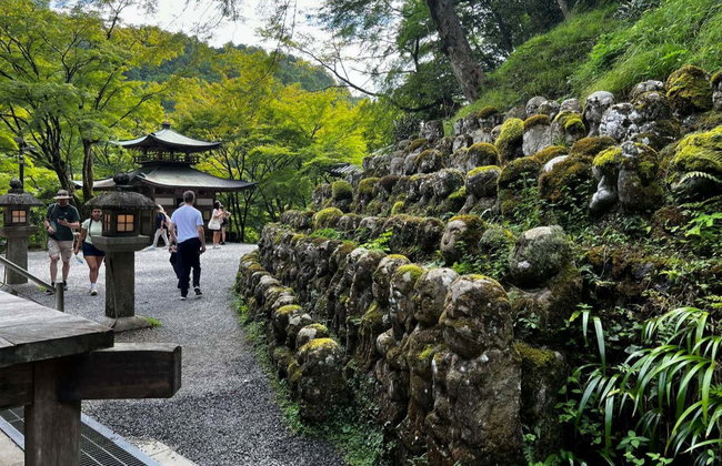 Visite guidée d'Arashiyama et sa forêt de bambous - Photo 2