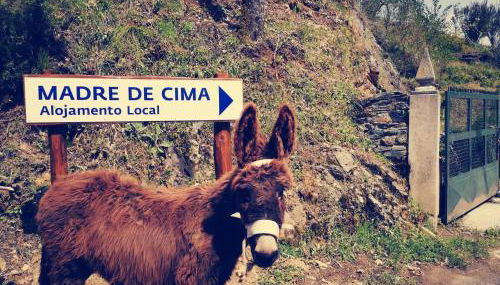 Alojamento Local Madre de Cima - Foto 4