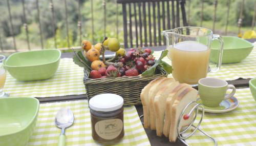 Holiday home in Pompeiana - Ligurische Riviera 22443 - Foto 5, Garden