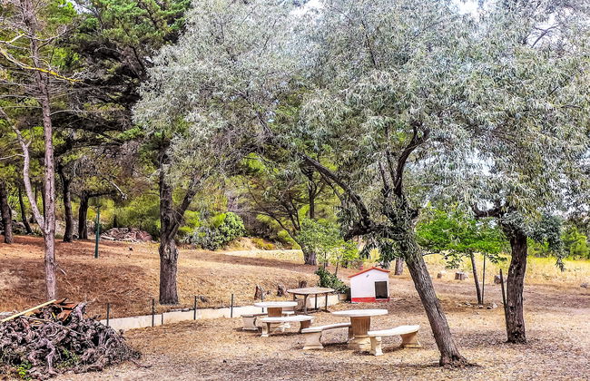 Les Vendanges - Foto 32