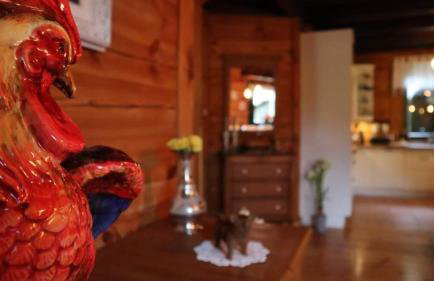 Willa Siemianówka - Sauna, Jacuzzi - Foto 18