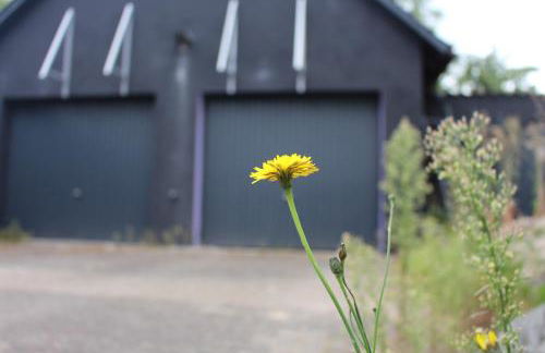 Waldtraum Wendland - Foto 12