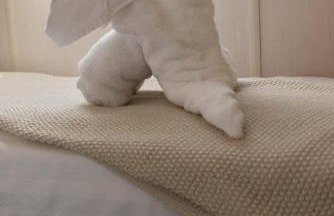 Lake View Escape - Fishing Lakes, Heated Outdoor Swimming Pool 500yrds on Sister Park , Pool Open April to September - Foto 31