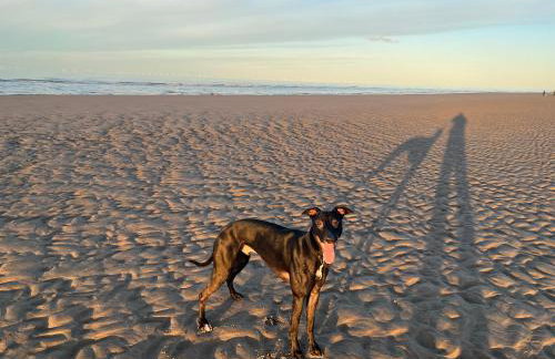 Dog Friendly Lovely Caravan by Beach Prestatyn N Wales 6 Berth Read full Host details before booking Mon in to Fri out Fri in to Mon out Mon to Mon Fri to Fri ONLY - Foto 29