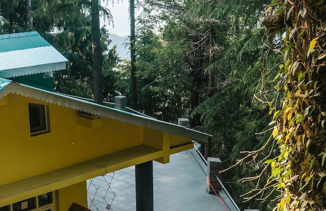 BluSalzz Villas - The Pine Tree, Dalhousie - Himachal Pradesh - Foto 45