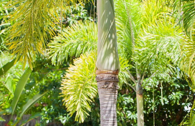 Seaforth Apartments - Foto 41