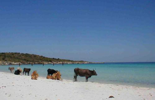 Albaria Lodge - Foto 32