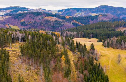 Górskie Formy - drewniany dom w górach z balią - Foto 10