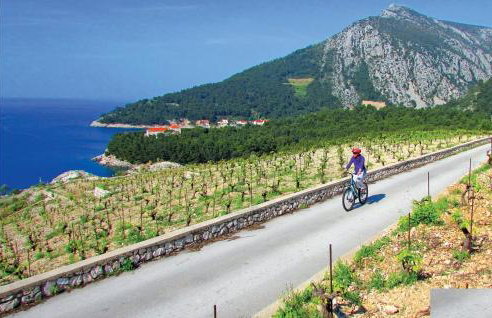 Gorgeous Home In Janjina With Sauna - Foto 39