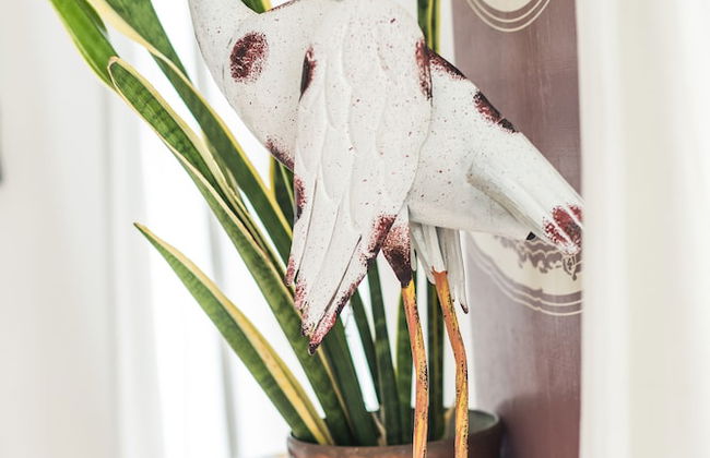 Fairlight - Charming Coastal Home on the Beach - Foto 30