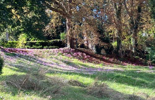 Le château La Villaine Magnifique château au cœur de la Touraine - Foto 11