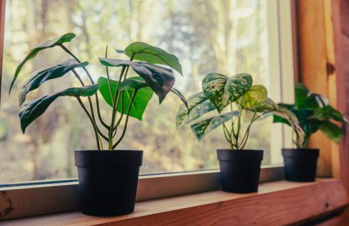 Clatskanie Tiny Luxury Retreat Near River - Foto 15